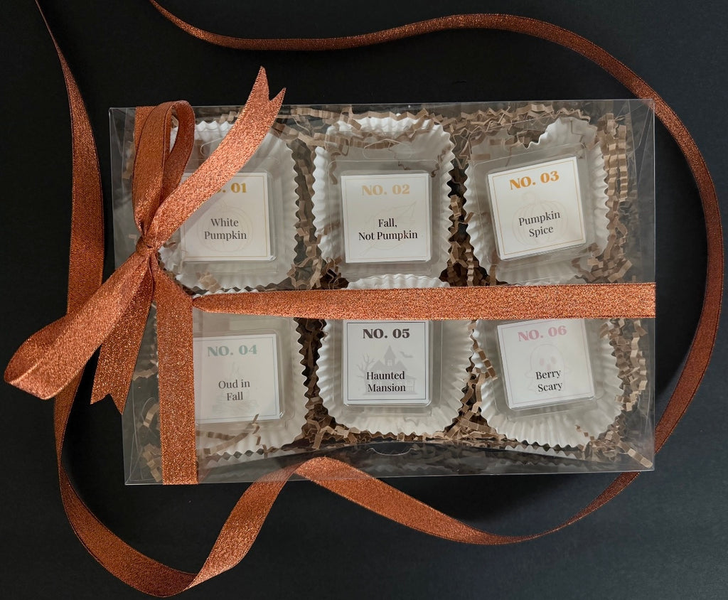 Aura Aligned Creations Fall Discovery Kit: six wax melt samples (White Pumpkin, Fall Not Pumpkin, Pumpkin Spice, Oud in Fall, Haunted Mansion, Berry Scary) in a clear gift box tied with copper ribbon