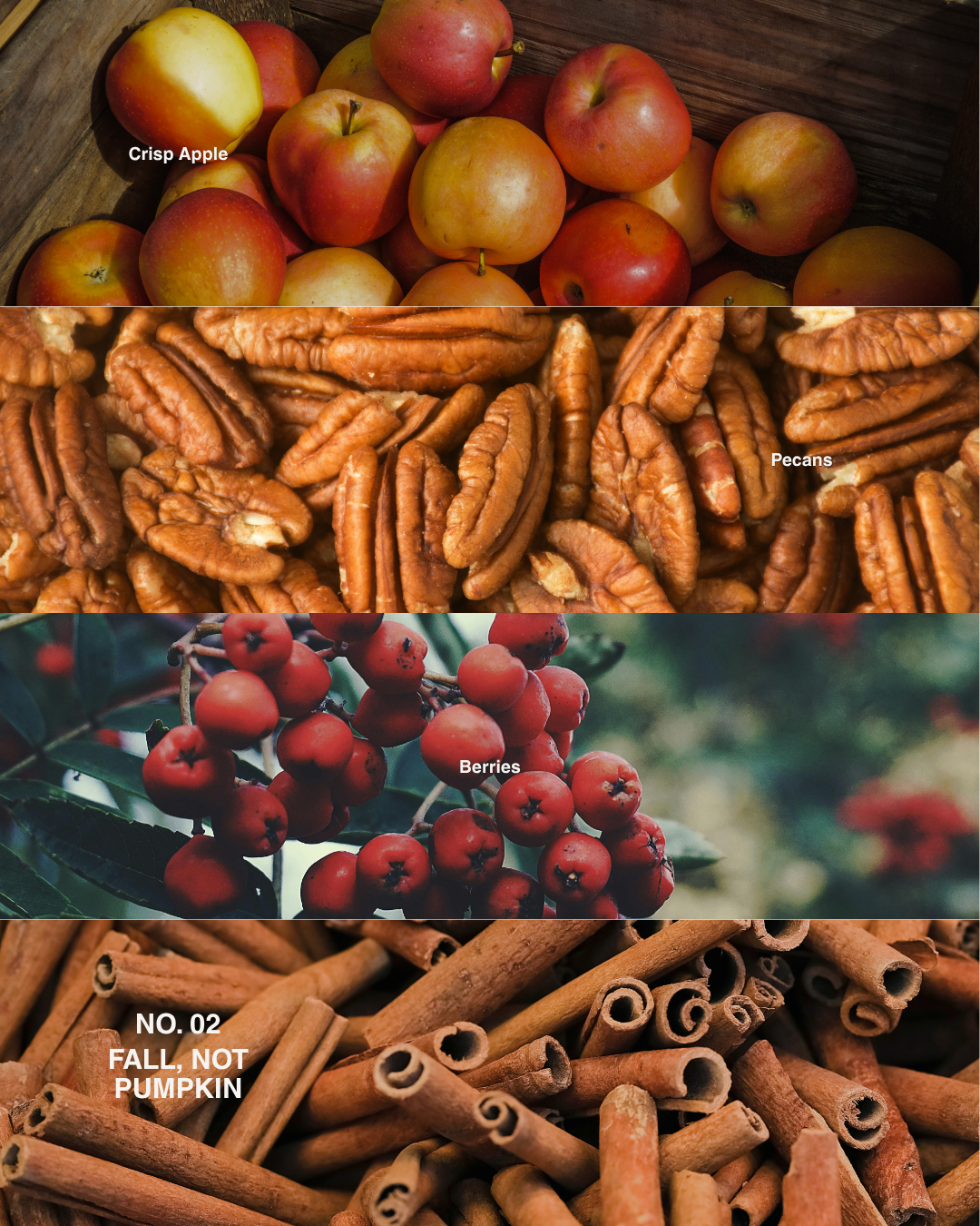 NO. 02 Fall, Not Pumpkin candle scent notes: crisp apple, pecans, berries, cinnamon