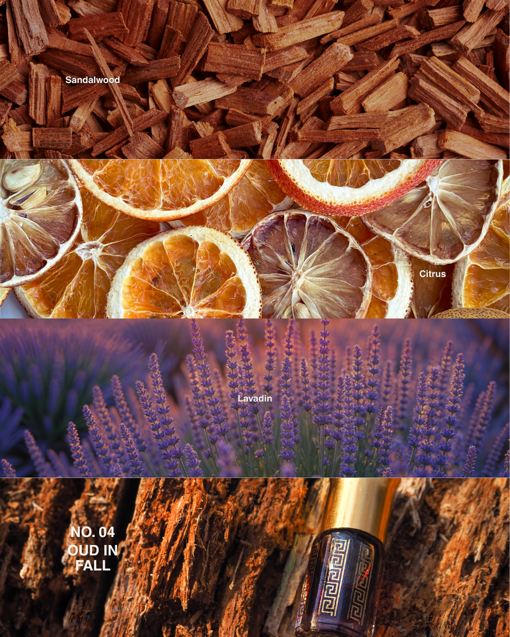 NO. 04 Oud in Fall candle scent notes: sandalwood, citrus, lavandin, oud