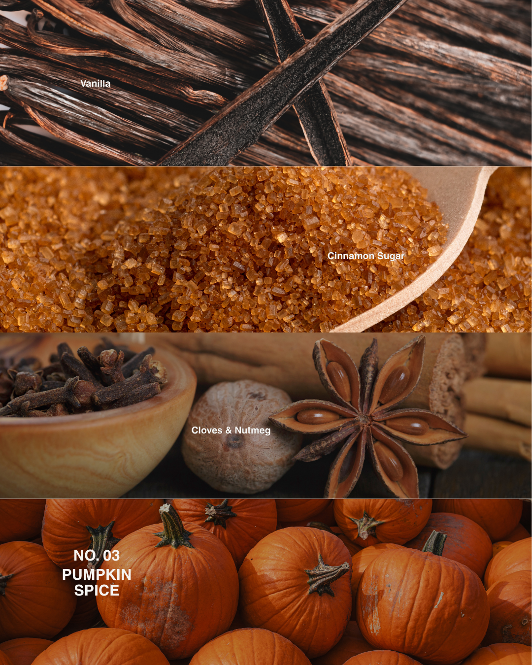 NO. 03 Pumpkin Spice candle scent notes: vanilla, cinnamon sugar, cloves and nutmeg, pumpkins