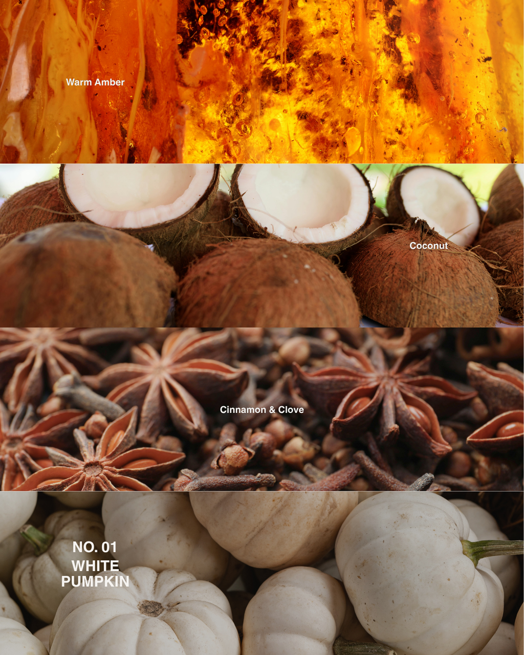 NO. 01 White Pumpkin candle scent notes: warm amber, coconut, cinnamon and clove, white pumpkins